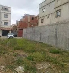 Vente Terrain Blida Ouled yaich