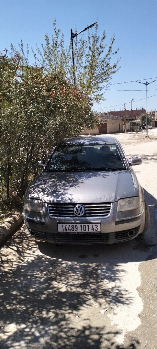 Volkswagen Passat 2001 B5
