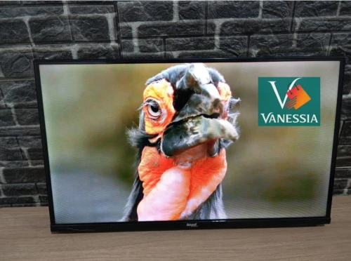 Téléviseur géant 32p+support+démo
