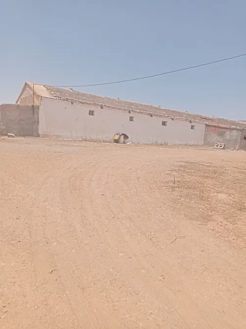 Vente bien immobilier Batna Ras el aioun