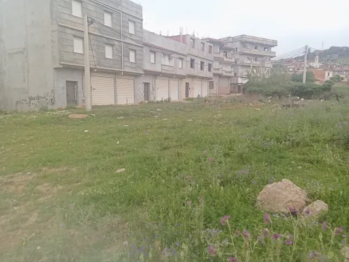 Vente Terrain Boumerdès Larbatache