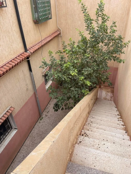 Vente Villa Sidi Bel Abbès Sidi bel abbes