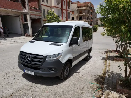 Transport de voyageurs et transferts 