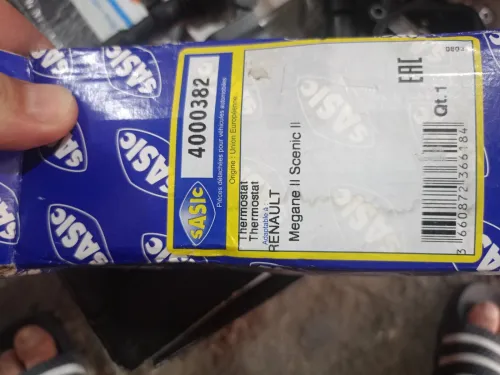 Pipe thermostat