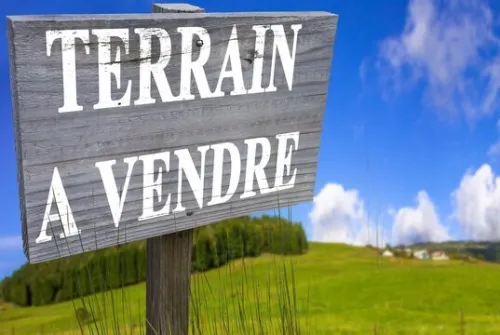Vente Terrain Alger Saoula