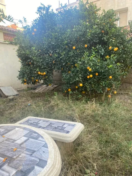 Vente Villa Blida Larbaa