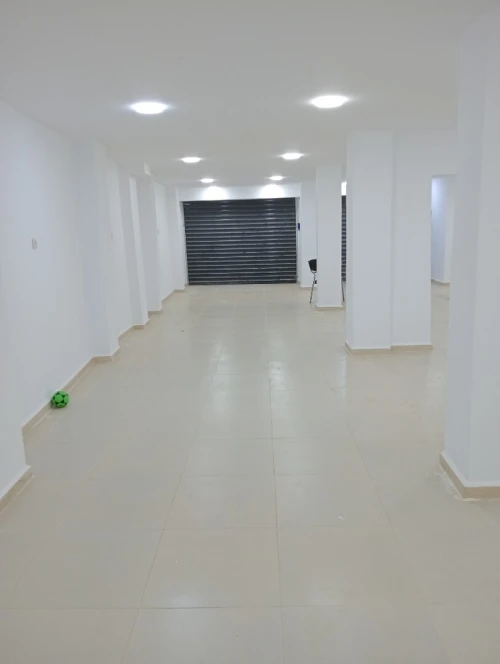 Location Local Alger Bourouba