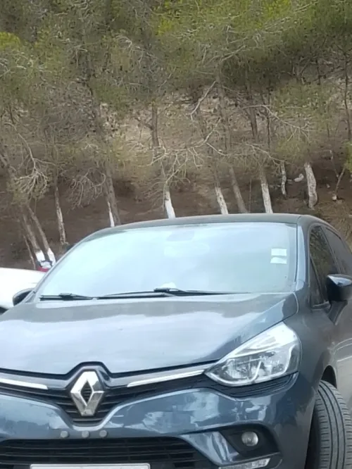 Renault Clio 4 2020 Limited 2