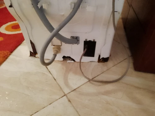 Vends Machine a laver Brandt Intellect