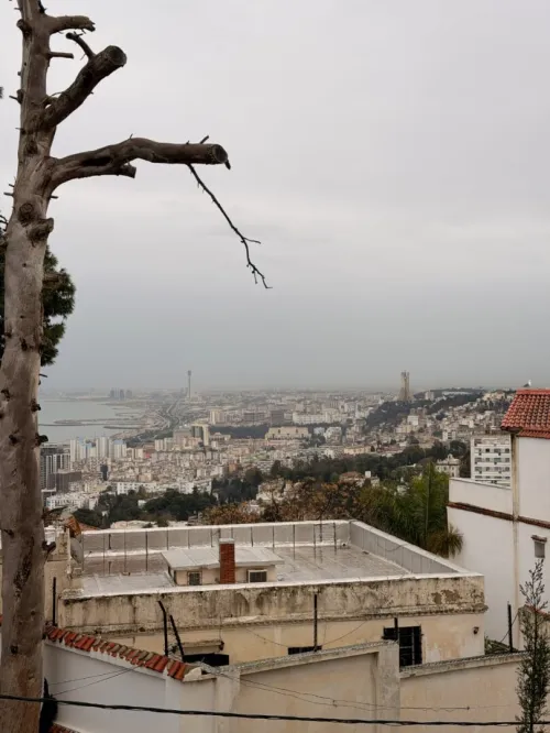 Location Appartement F3 Alger El biar