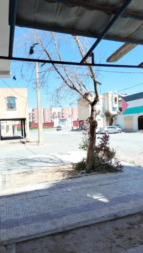 Vente Local Biskra Biskra