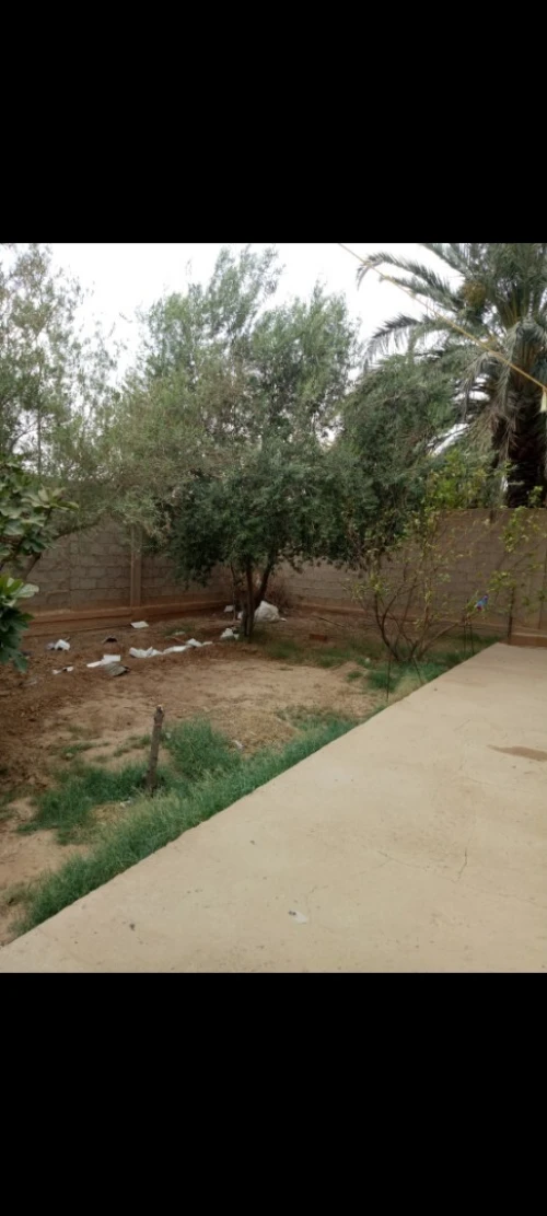 Location Appartement F4 Biskra Chetma 6