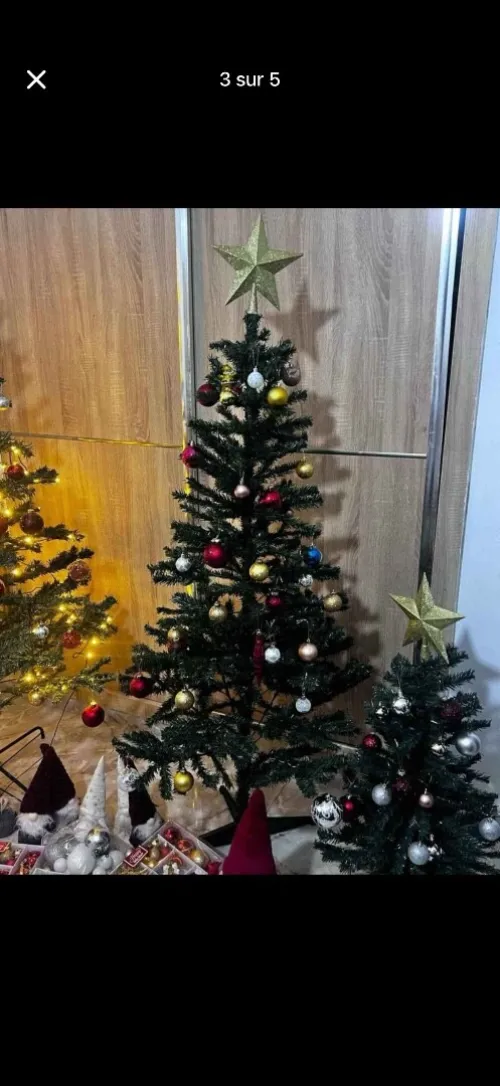 Sapain de noël