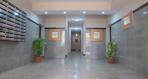 Location Appartement F3 Alger Birkhadem 4