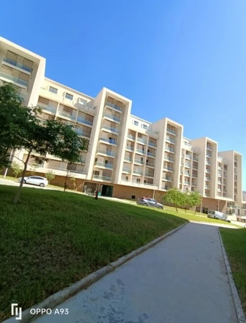 Location Appartement F4 Alger Cheraga