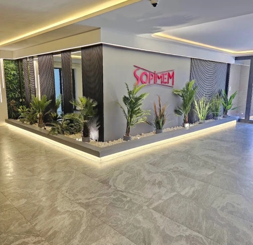 Vente Appartement F4 Alger Cheraga