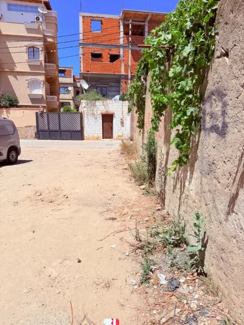 Vente Terrain Alger Bordj el kiffan