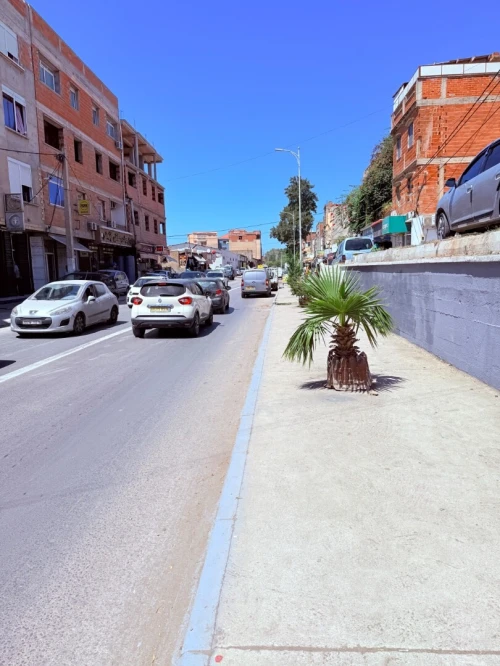 Vente Terrain Alger Bordj el kiffan