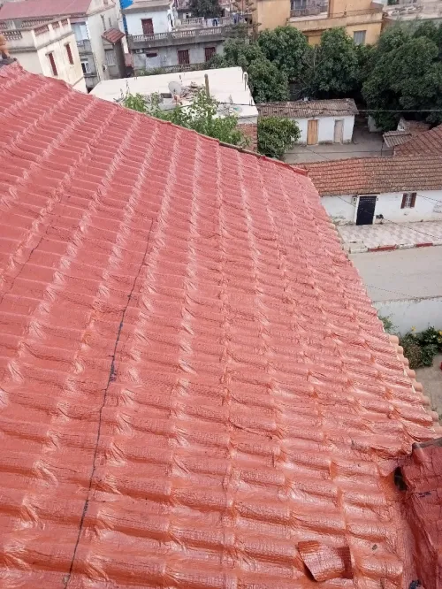 Travaux étanchéité général 