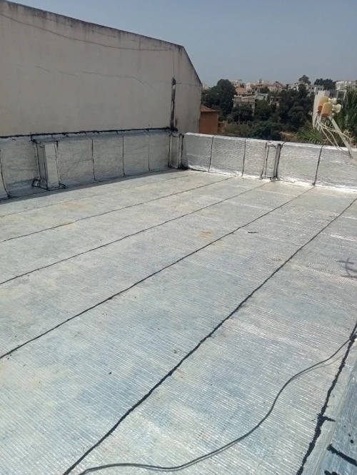 Entreprises travaux étanchéité 