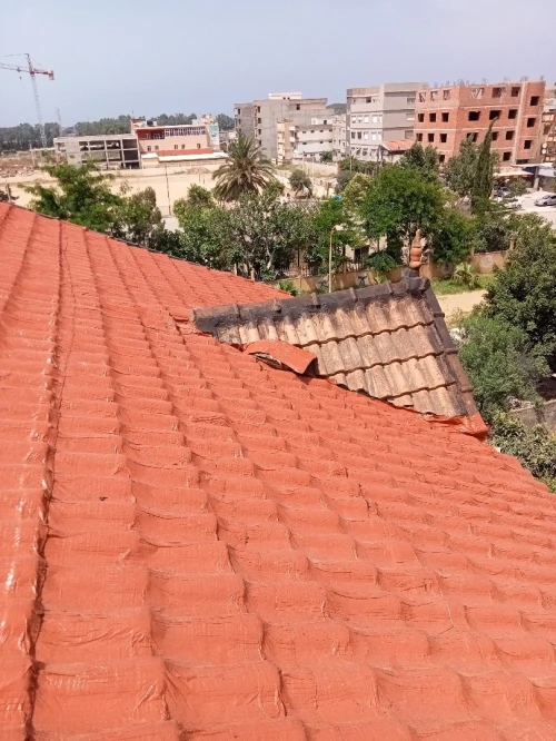 Travaux étanchéité général 
