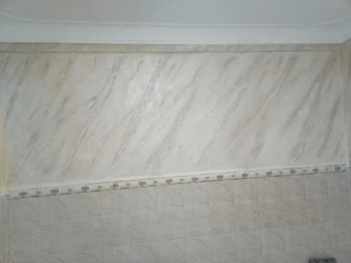 Peintre intérieur et extérieur 