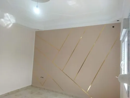 Peintre intérieur et extérieur 