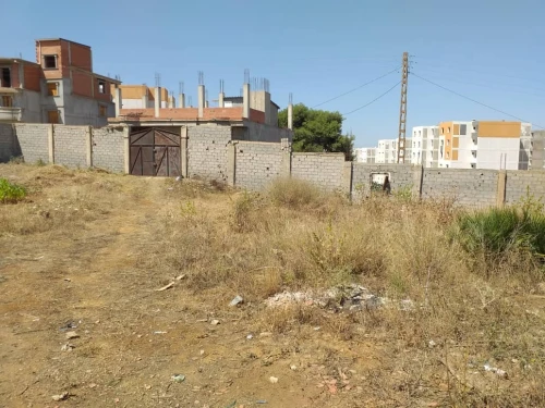 Vente Terrain Blida Meftah