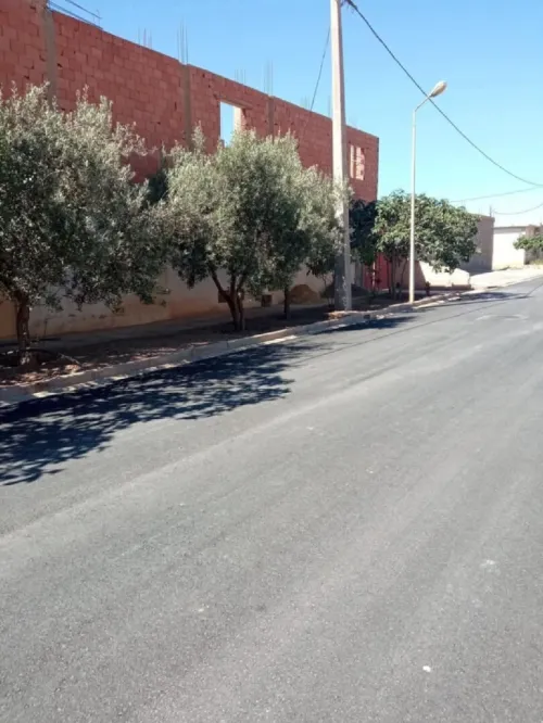 Vente Hangar - Usine Sidi Bel Abbès Sfissef