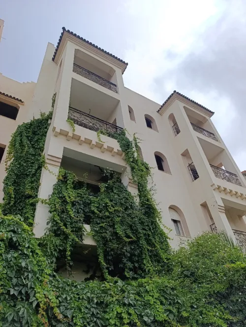 Location Appartement F5 Alger Dely brahim