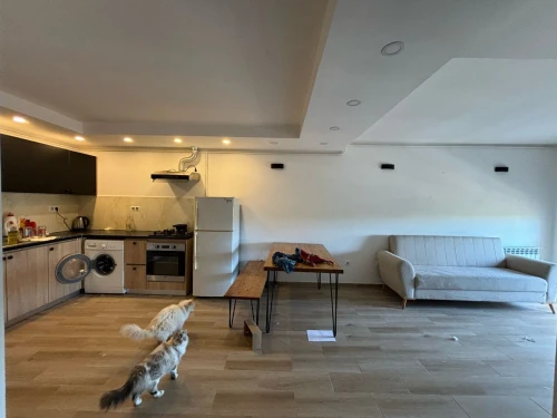 Location Appartement F2 Alger El achour