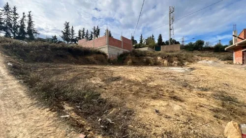 Vente Terrain Tipaza Cherchell