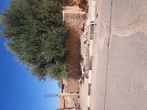 Vente Terrain Aïn Témouchent Ouled kihal