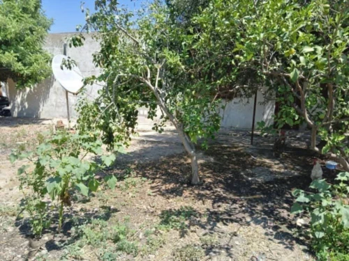 Vente bien immobilier El Tarf Drean