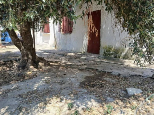 Vente bien immobilier El Tarf Drean