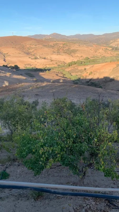 Vente Villa Niveau de villa Tlemcen Nedroma