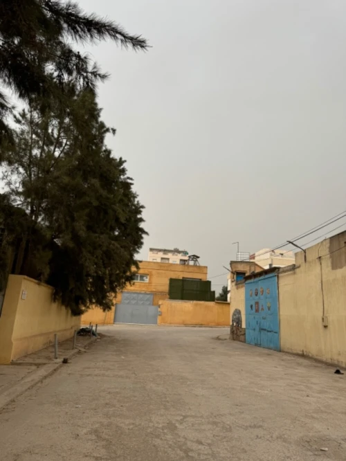 Vente Hangar - Usine Alger Ain benian