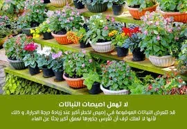 خدمات الإعتناء بلحدائق 