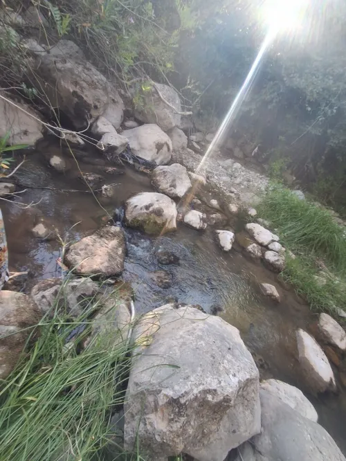 Vente Terrain Tizi Ouzou Agouni gueghrane