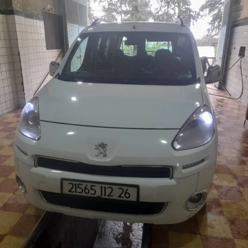 Peugeot tepee 2012 