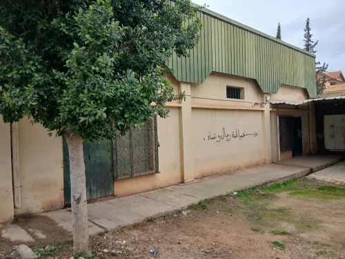 Vente Local Aïn Defla El attaf