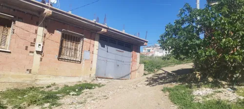 Vente Terrain Blida Meftah