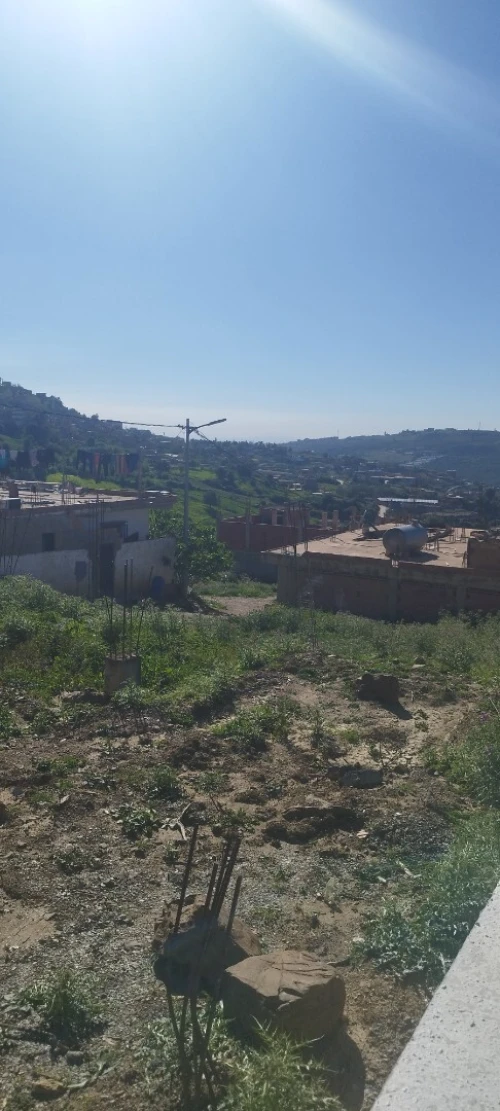 Vente Terrain Blida Meftah