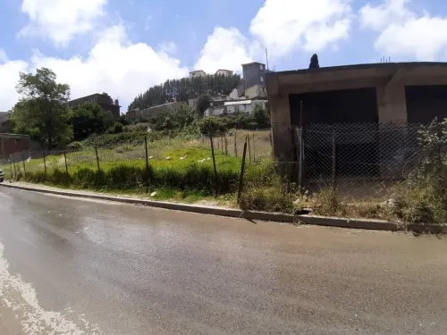 Vente Terrain Alger Bouzareah