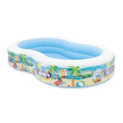 Piscine intex 