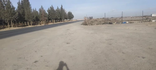 Location Terrain Sétif Mezloug