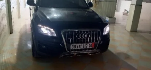 Audi Q5 2012 Off Road