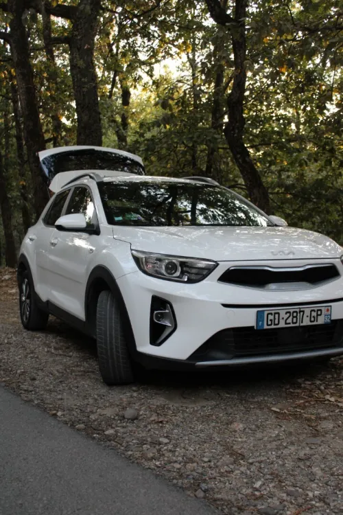 Kia Stonic 2021 2021