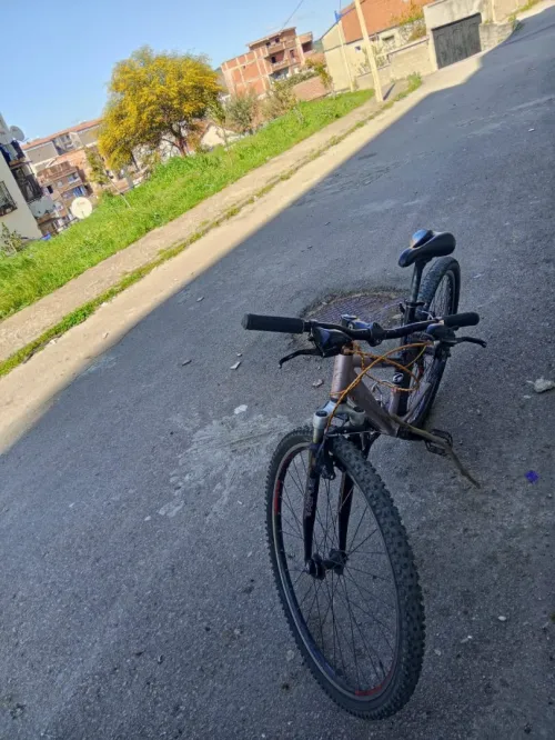 Velos