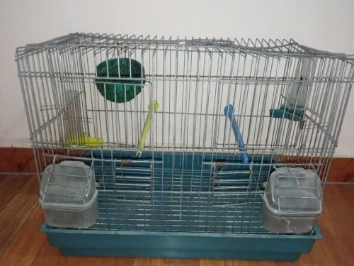 Cage de oiseaux 